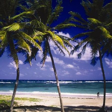 Cotton Bay Village Gros Islet Exterior foto
